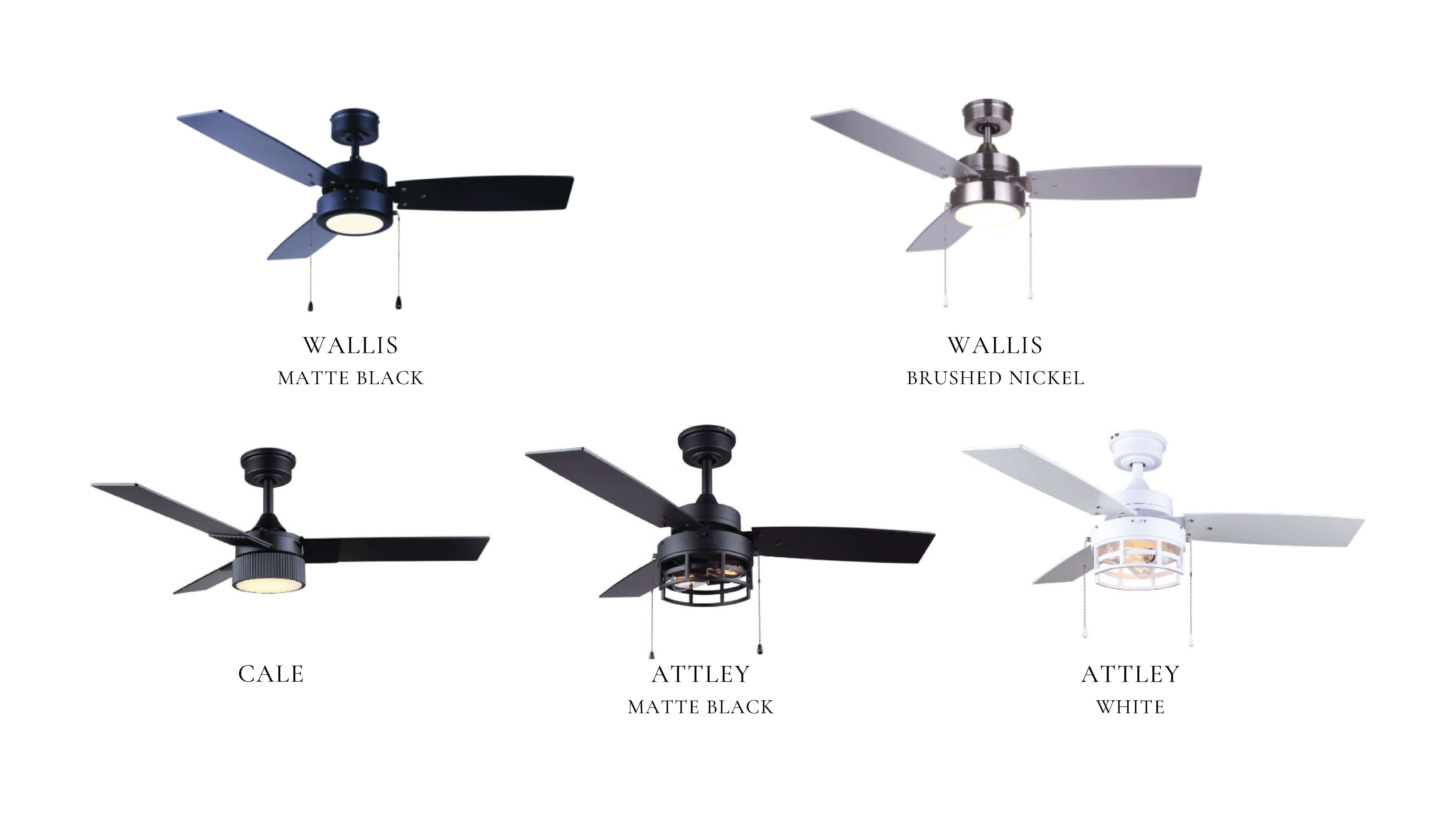 Celing Fan